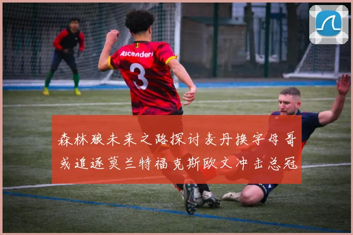 森林狼未来之路探讨麦丹换字母哥或追逐莫兰特福克斯欧文冲击总冠军