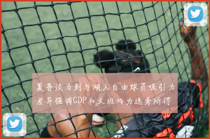 夏普谈马刺与湖人自由球员吸引力差异强调GDP和文班均为选秀所得